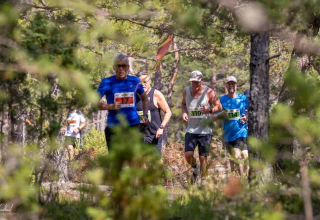 löpning i skog